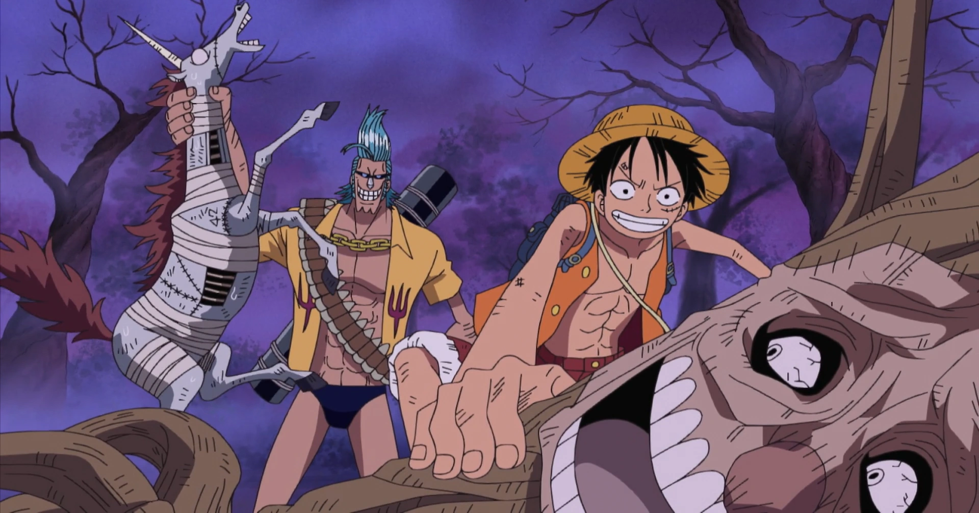 franky one piece relationships franky one piece relationships